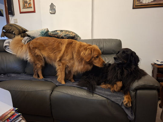 Mag ik daar eens liggen??!!