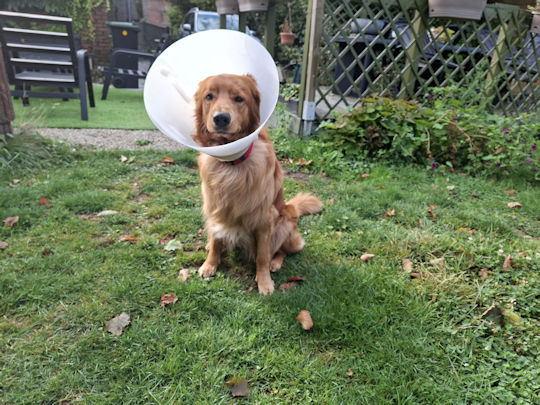 Plassen met dit ding? Ik denk er nie aan!