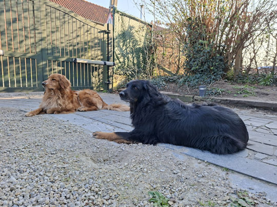 Ons duo op de oprit...