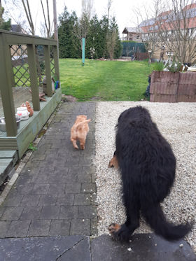 Aiko laat Timo zijn nieuwe thuis verkennen.