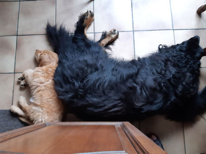 Tijd om flink uit te rusten!!