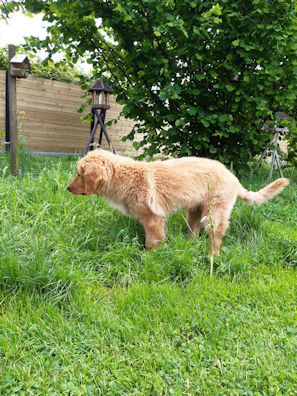 Timo: Steeds op zoek naar iets eetbaars...