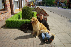 Alain met zijn schoothondjes.