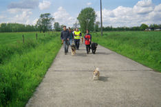 De Grootste neemt de kop!