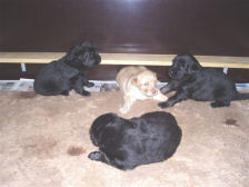 All together...