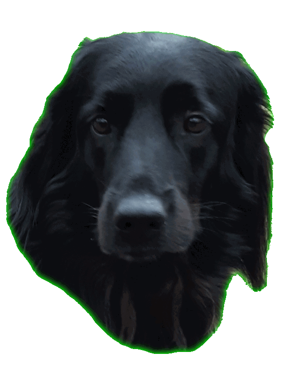 Pepper