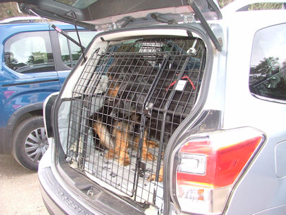 Onze lievelingen zijn er helemaal klaar voor...