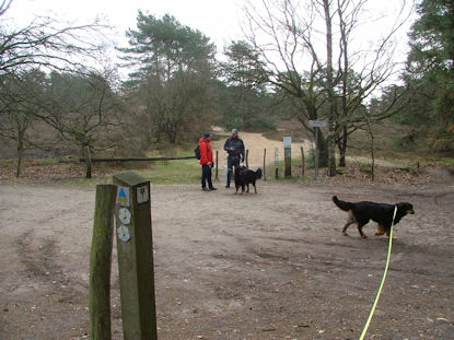 Nu echt de natuur in.