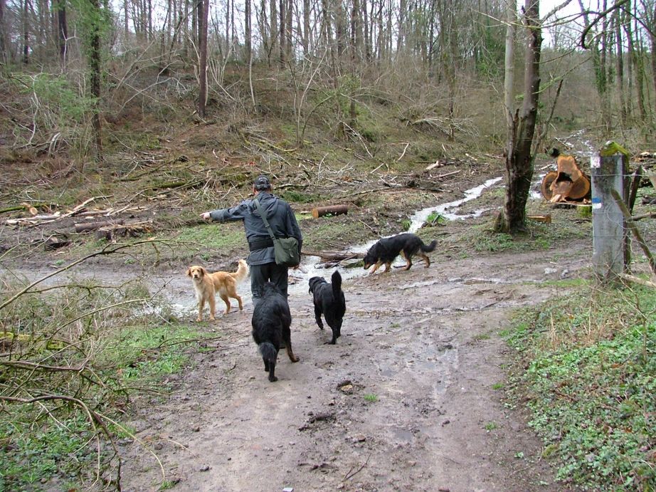 De gids toont de weg!