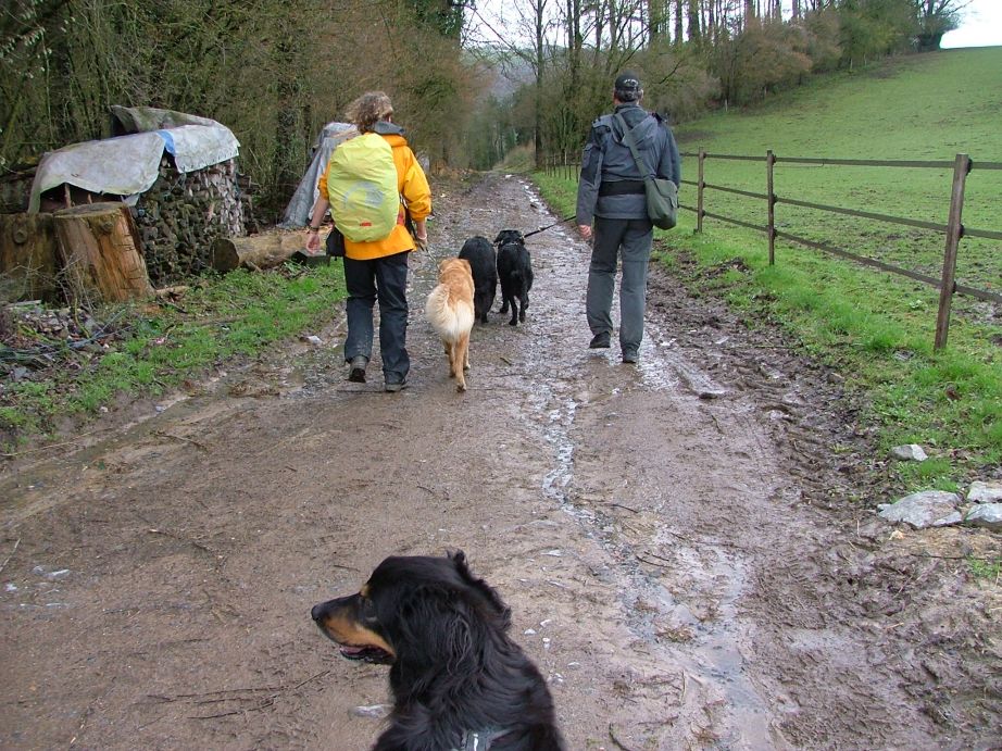 Na de boerderij begint het te knallen... een oefenterrein voor wapenenthousiasten?