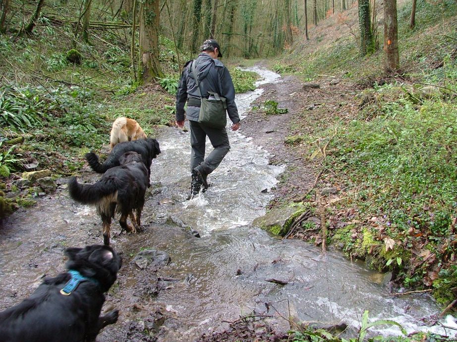 Voordeel om door de rivier te moeten... je bent die modder aan je schoenen zo kwijt!