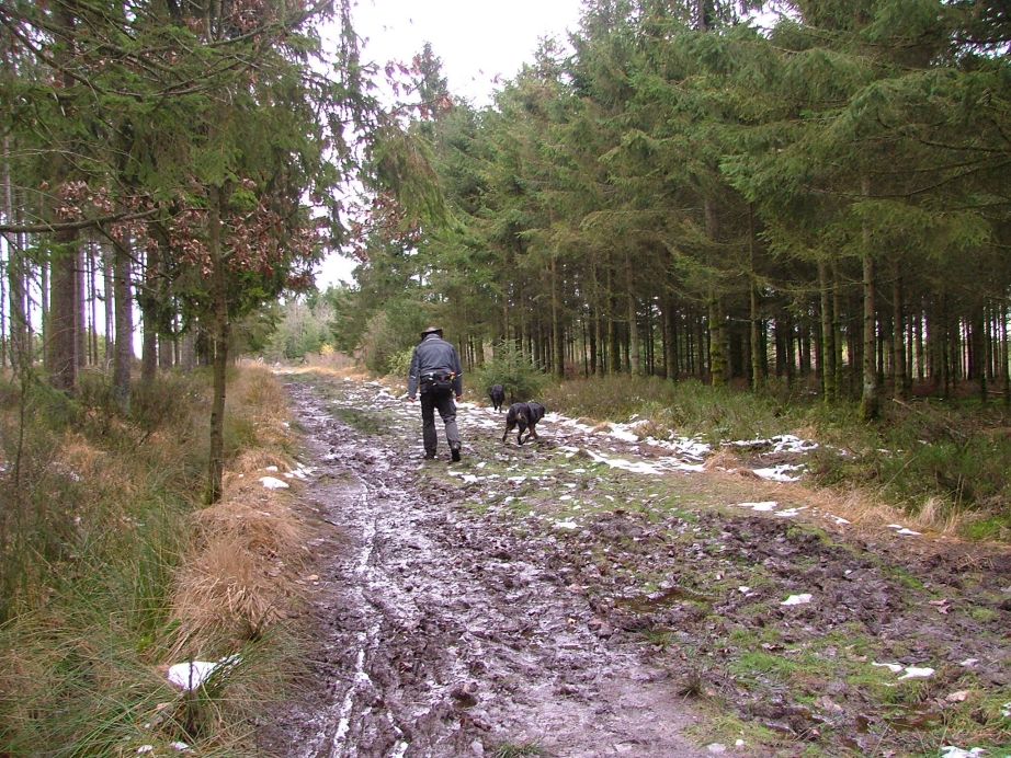 Aan modder dan ook geen gebrek.