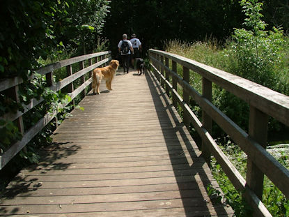 Een brug te ver? Neen, perfect op pad.