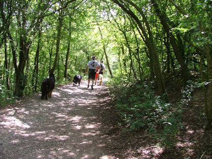 Door de holle weg naar de finish!