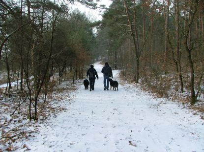 Voornamelijk een vlakke wandeling met variatie...