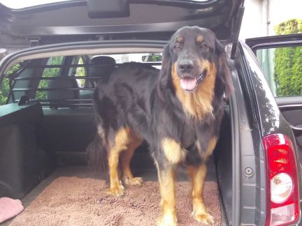 Start vanaf de parking aan de kerk/kapel.