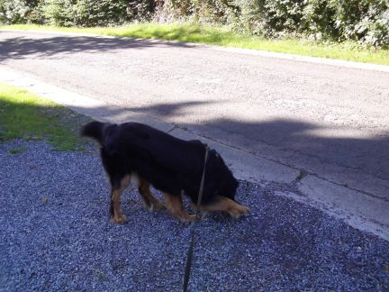 Start vanaf de parking aan de kerk/kapel.