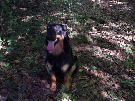 Fris in de eerste bosjes!