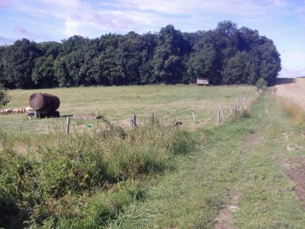 Langs de schapen in de weide, B'Elanna vond ze leuk!