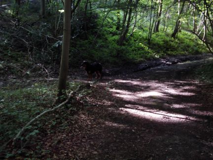 Gele bollen zie je niet (meer) de linkse weg dan maar...