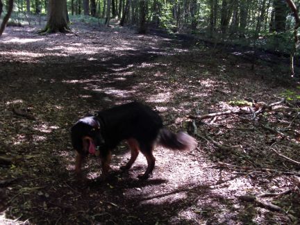 Oef, terug even vlak...