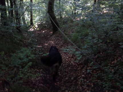 Stijl naar beneden, gebruik het touw!