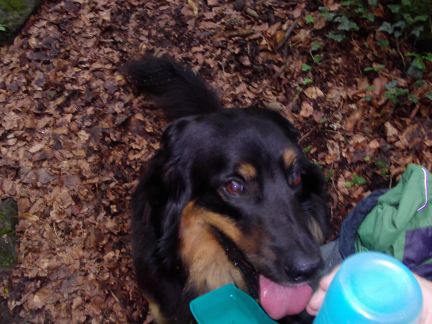 Halverwege, de dorstigen laven.