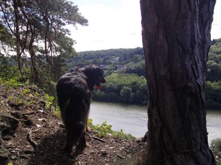 Prachtig vergezicht over de Maas.