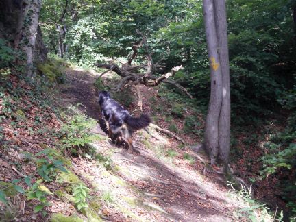 Het pad langs de rotsen blijven volgen...
