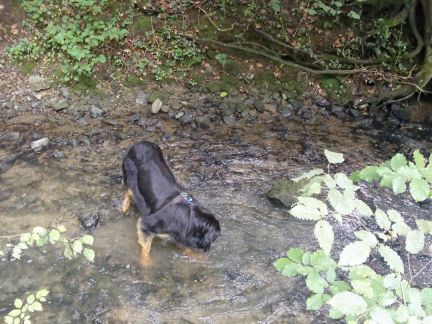 Door het riviertje met heerlijk water.