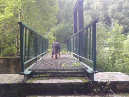Over het bruggetje naar de weg.