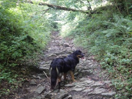 Flink stijgen dan maar weer...