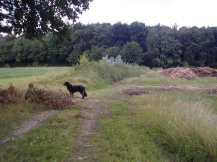 De laatste loodjes naar beneden.