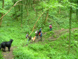 Een lange maar mooie klim...