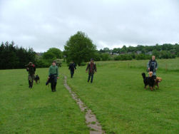 Een vlak stuk dwars door de weide.