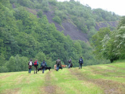 De koeien vindt U beneden...