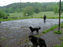 Het vervallen sportterrein.