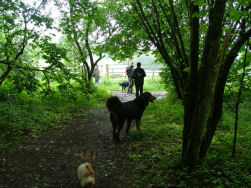 Moe na de laatste klim.