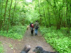 Eerst langzaam naar beneden...