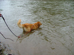 Afspoelen! Maar let op de stroming!