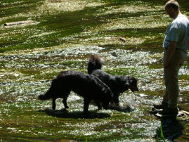 Heerlijk in het water!