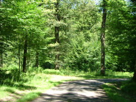 Hier een beetje naar links rechtdoor.