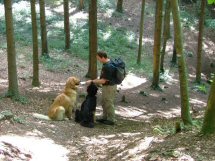 Baas, moeten we nog ver??