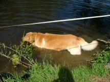 Dorst gelest. Nu die gele streep zoeken.