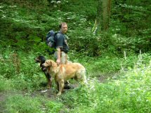 Hier de helling op, na rode 13 op geel?