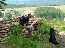 Net buiten Bois de Hampteau.