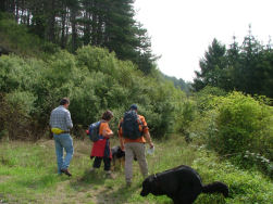 Volg het padje rechts van de steengroeve.