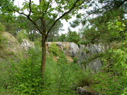 Aan de overzijde er terug uit, prachtig!