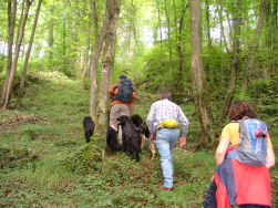 We volgen het verkeerde pad, maar komen toch goed uit.
