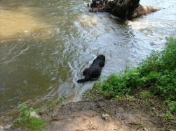 Dante controleert alvast de temperatuur van het water...